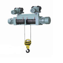 Wire Rope Type Electric Hoist